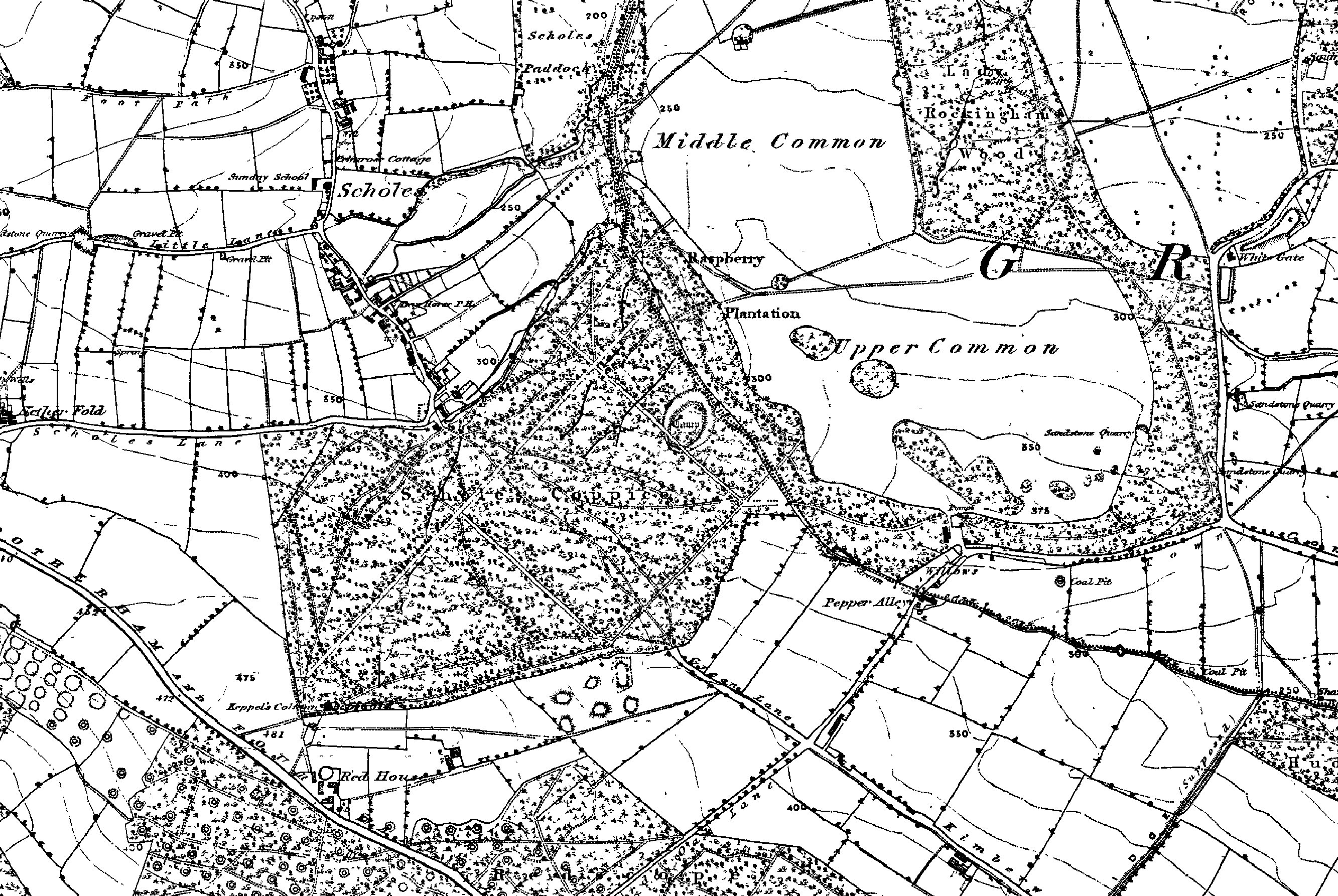 very large map scholes